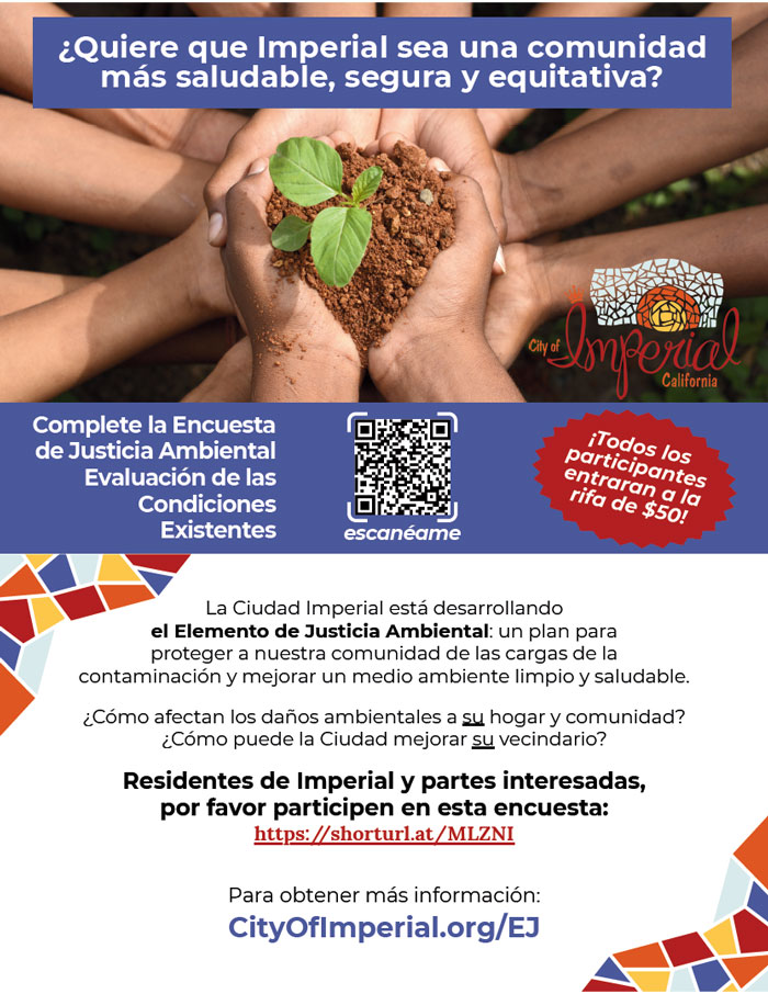 Invitacion a Encuesta EJE